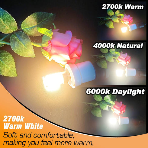 E17 LED Ceiling Fan Light Bulb 6W (60W Halogen Equivalent) 2700K Warm White 700lm 120V LED Intermediate Base Bulb for Appliance,Desk Lamp,Cabinet,...