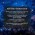 Brightwell Aquatics - Reef Code B - Balanced Calcium & Alkalinity System Water Conditioner - For All Saltwater Marine Fish & Reef Fish Tanks - Aqu...