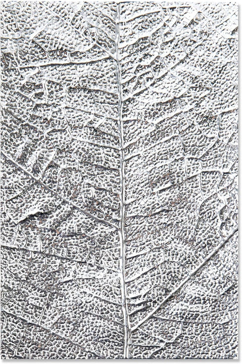 Sizzix 3-D Textured Impressions Embossing Folder, Multicolor...