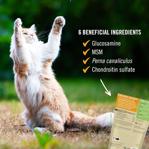 Pet Naturals Hip and Joint Support Supplement for Cats, 30 Chews - Glucosamine, Chondroitin and MSM for Cats...