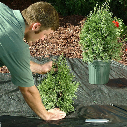 WeedBlock 1041 Landscape Fabric, 3 ft x 50 ft, 3 feet x 50 feet...
