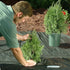 WeedBlock 1041 Landscape Fabric, 3 ft x 50 ft, 3 feet x 50 feet...