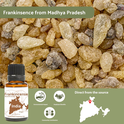 Frankincense Essential Oil - Direct from Madhya Pradesh, India - Pure Essential Oil for Diffusers and Aromatherapy | 100% Pure Therapeutic Grade (...