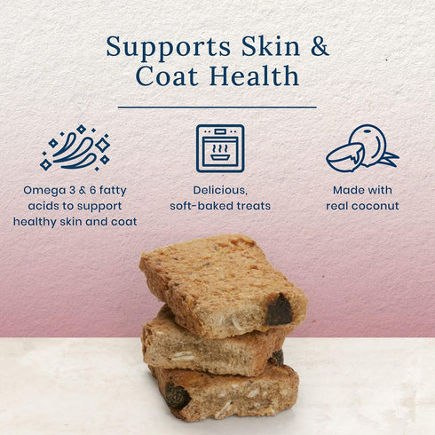 Blue Buffalo Benebars Natural Dog Treats, Skin and Coat Support, Chicken and Coconut, 9oz Bag...