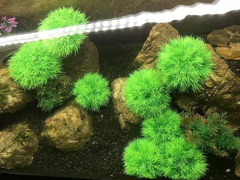 BEGONDIS 4Pcs Aquarium Decorations Fish Tank Artificial Green Water Plants Made of Soft Plastic...