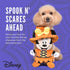 Disney for Pets 9" Halloween Plush Minnie Mouse Toy for Dogs | Minnie Mouse Plush Dog Toy | Disney Toys for All Dogs, Official Dog Toy Product of ...