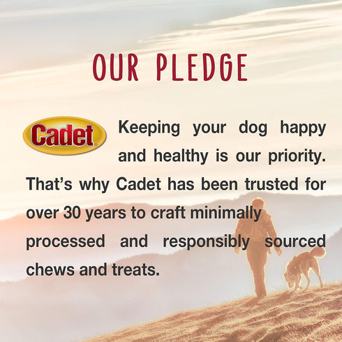 Cadet Premium Grade Beef Hide for Dogs, Long Lasting Rawhide Donut Bone, Single Ingredient Dog Chews, 8 Inch (1 Count)...