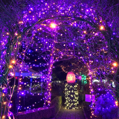 Solar Halloween Lights,72FT 200LED Orange & Purple Halloween Lights,Halloween Solar Lights Outdoor with 8 Modes Waterproof Halloween Lights for Be...