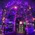 Solar Halloween Lights,72FT 200LED Orange & Purple Halloween Lights,Halloween Solar Lights Outdoor with 8 Modes Waterproof Halloween Lights for Be...