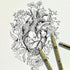 Sakura 30181 Pigma Micron Blister Card 01 Ink Pen, 0.25-mm, Black...