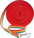 Downtown Pet Supply - Long Dog Leash - Dog Training Leash - Recall & Obedience Dog Training Tools - Nylon - 50 ft - Rainbow Dog Leash...