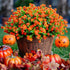 Artificial Fall Flowers Outdoor Fake Mums - 12 Bundles Fake Plants UV Resistant No Fade Faux Plastic Greenery Garden Porch Patio Fall Home Decor (...