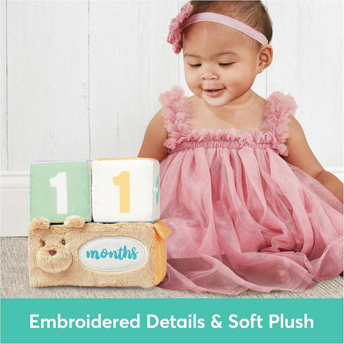GUND Baby Milestones and Moments Soft Blocks, Plush Photo Prop Sensory Toy Blocks for Babies and Newborns, Multicolor...