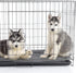 PETMAKER Self-Heating Pet Bed - Thermal Dog Mat with Soft Sherpa Top for Dogs, Cats, and Small Pets - Washable Crate Pad for Floor or Kennel (Gray...