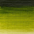 Winsor & Newton Winton Oil Color, 37ml (1.25-oz) Tube, Sap Green...