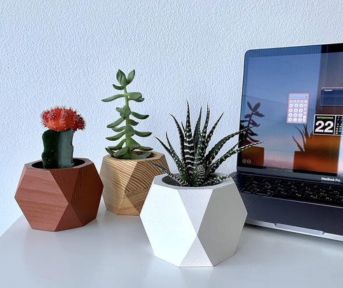 Untitled Succulent Planter - Wooden Pot for Small Flower or Preserved Moss - Indoor Plant Pot for Succulents or Faux Plants - Moss Pots (Natural)...
