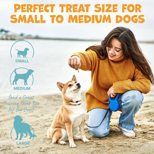 Mini Chicken Sticks for Dogs - Dehydrated Chicken Dog Treats & Single Ingredient Dog Treat - High Protein, Low Fat Dog Treats - Chicken Treats for...