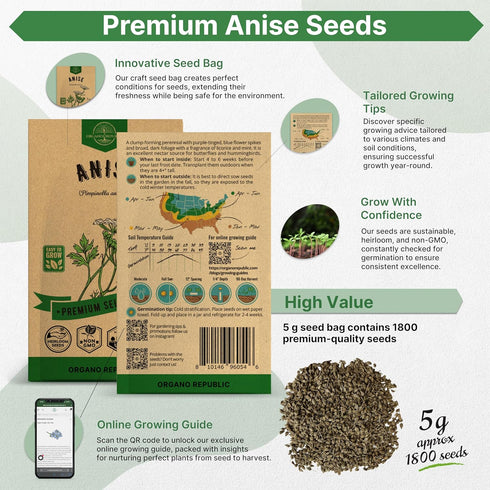 Anise Seeds Pack 5G - Over 1800 Non-GMO Heirloom Anise Seeds for Planting Herbs in Individual Seed Packet, Herbs Seeds for Planting Home Garden In...