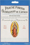 Guadalupano Porous Capsicum Medicated External Pain Relieving Plaster, 4.5" X 7"...