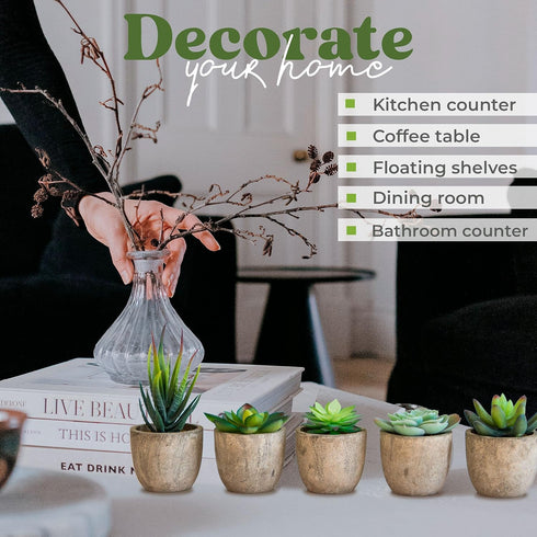 Set of 5 Succulents Fake Plants Bedroom Aesthetic Small Fake Plants Bathroom - Mini Fake Plants Decor for Office Desk Decor - Tiny Realistic Fake ...