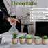 Set of 5 Succulents Fake Plants Bedroom Aesthetic Small Fake Plants Bathroom - Mini Fake Plants Decor for Office Desk Decor - Tiny Realistic Fake ...