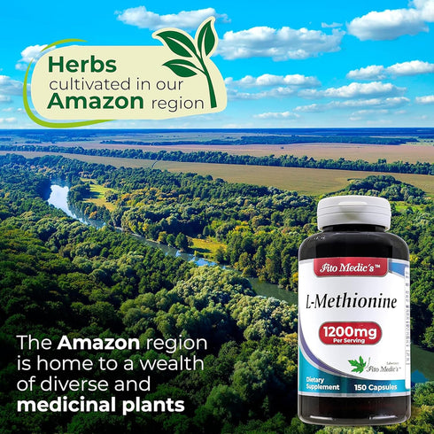 FITO MEDIC'S Lab - Methionine, L Methionine 1200mg | 150 Capsules, Antioxidant Promoter | Ultra high Absorption....