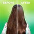 Garnier Fructis Sleek & Shine 10-in-1 for Frizzy, Dry Hair, Plant Keratin, 8.1 Fl Oz, 1 Count (Packaging May Vary)...