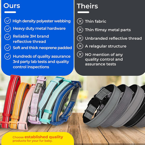 Blueberry Pet Soft & Safe 3M Reflective Neoprene Padded Adjustable Dog Collar - Orange Peel, Medium, Neck 14.5"-20"...