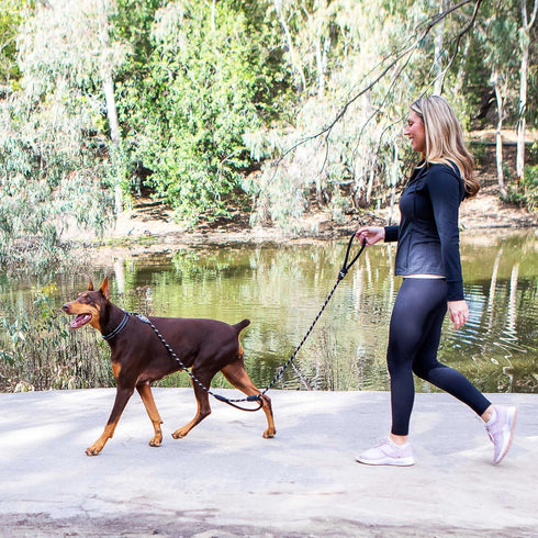 6 Foot Dog Leash, 2 Extra Padded Handles, Lockable Metal Carabiner Clip, Durable Silicone Clamps, Reflective No Pull Heavy Duty Rope Lead, Walking...