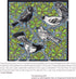 Ampersand Art Supply Scratchbord Art Panel: Museum Series Scratchboard, 1/8 Inch Flat Profile, 5" x 5" - Pack of 3...