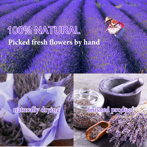 9 Bags Dried Flowers,100% Natural Dried Flowers Herbs Kit for Soap Making, DIY Candle Making,Bath - Include Rose Petals,Lavender,Don't Forget Me,L...