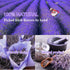 9 Bags Dried Flowers,100% Natural Dried Flowers Herbs Kit for Soap Making, DIY Candle Making,Bath - Include Rose Petals,Lavender,Don't Forget Me,L...