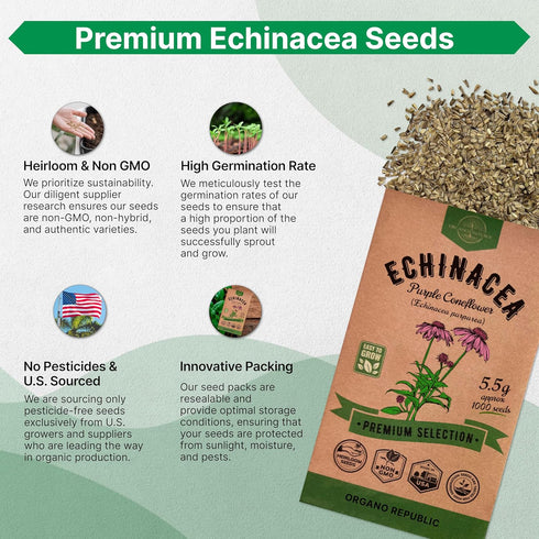 Echinacea Seeds Pack 5.5 G - Over 1000 Non-GMO Heirloom Echinacea Seeds for Planting Herbs in Individual Seed Packet, Herbs Seeds for Planting Hom...