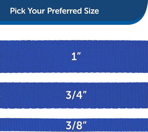 PetSafe Nylon Dog Leash - Strong, Durable, Traditional Style Leash with Easy to Use Bolt Snap - 1 in. x 4 ft., Royal Blue...