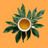 Organic Five Rivers Chai, Loose Leaf Authentic India Tea w/Cardamom, Cloves & Indian Spices | Unsweetened | bulk 8oz, 80-100 cups | The Spice Hut,...
