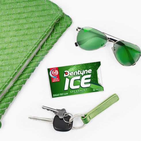 Dentyne Ice Spearmint Sugar-Free Chewing Gum, 9 Packs of 16 Pieces (144 Total Pieces)...