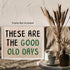 Posterizer 1 pcs-These Are the Good Old Days-Fun uplifting quote 2-Miscellaneous-Quotes and Poems-Living Room Bedroom Decor- unframed wall art...