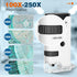 100x-250x Mini Pocket Microscope for Kids Adults, Protable Handheld Microscope with 5 Microscope Slides, Phone Adapter, Miniscope Portable Microsc...
