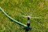 Rain Bird RVANSP Hose-End High-Efficiency Pro Rotary Sprinkler on Large Metal Spike, Hand Adjustable, 45° - 270° Pattern, 17' - 24' Spray Distance...