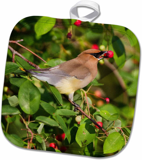 3D Rose Cedar Waxwing Eating Berry in Serviceberry Bush Marion Co. Il Pot Holder, 8 x 8...