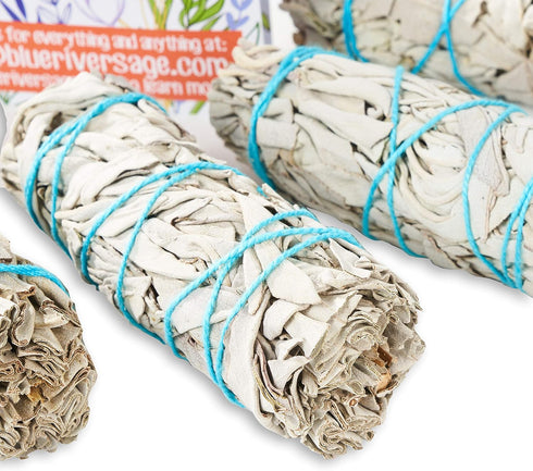 6 Pack White Sage ~ Sage Smudge Sticks for Smudging & Cleansing Energy ~ Bulk/Wholesale ~ Sustainably Grown (6 Pack)...