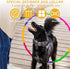 Dog Bow Tie Collar, Adjustable Soft Cotton Bow Tie Puppy Collar with Metal Buckle, Detachable Bow Tie Pet Collar for Small Medium Large Dogs(Black...