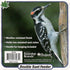 Double Suet Feeder with Green Metal Roof, Holds 2 Suet Cakes, Hanging Bird Feeder for Woodpeckers, Blue Jays, Chickadees, Nuthatches...