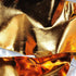 Coatings Foil Lame Knit 59inch Wide Metallic Fabric Covering Plants by The Yard(1Yard Gold)...