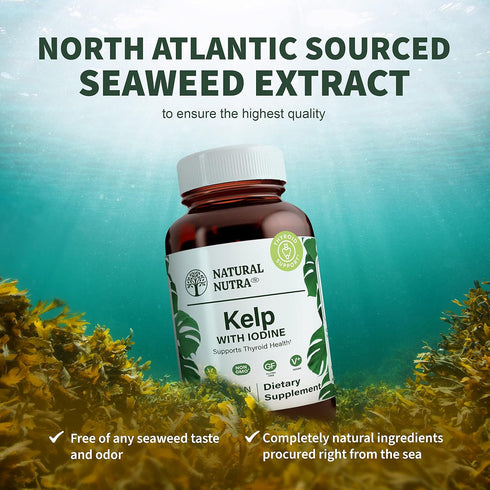 Natural Nutra Kelp Iodine Supplement, Helps Improve Brain Health, Strengthens Immune System, and Regulates Metabolism, Vegan Sea Kelp, Atlantic So...