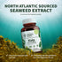 Natural Nutra Kelp Iodine Supplement, Helps Improve Brain Health, Strengthens Immune System, and Regulates Metabolism, Vegan Sea Kelp, Atlantic So...