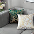 TAOSON Pack of 2,Irregular Abstract Lines Geometric Bronzing Printed Cozy Soft Throw Pillow Cases Cushion Covers Shells for Sofa Couch Bed Home De...