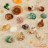 15PCS Hermit Crab Shells | Natural Sea Conch Size 1.6"-3.2" | Growth Turbo for Small to Medium and Large Crabs, Saltwater Hermit Crab Supplies and...