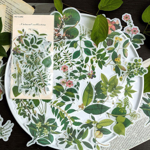 60pcs Laptop Stickers Scrapbook Stickers, Doraking DIY Decorative Green Plants Set Stickers for Laptop,Envelop,Scrapbook,Notebook,Luggage, Glasses...