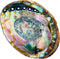 Hand Selected Abalone Shell, 6 Inches or Larger. Perfect for Holding Incense, Trinkets, and More...